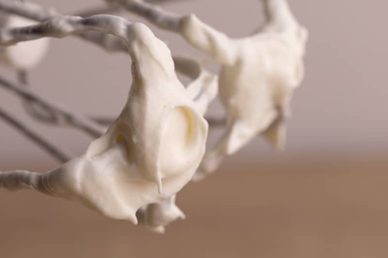 Freeze Whipped Cream Dollops or Bulk: Save Time & Dessert